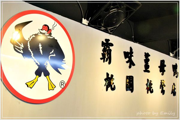 桃園市美食 薑母鴨 (14)