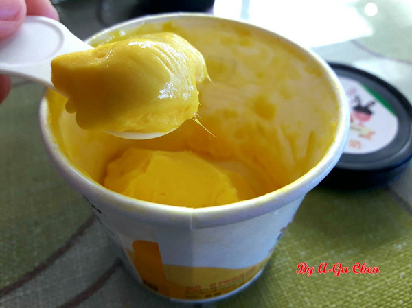 魔法森林：【臺南Ω安定區】魔法森林。彷彿置身在山林祕境中享用美食