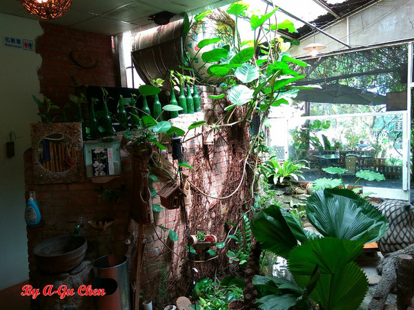 魔法森林：【臺南Ω安定區】魔法森林。彷彿置身在山林祕境中享用美食