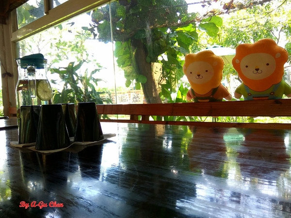 魔法森林：【臺南Ω安定區】魔法森林。彷彿置身在山林祕境中享用美食