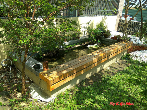 魔法森林：【臺南Ω安定區】魔法森林。彷彿置身在山林祕境中享用美食