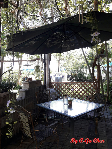 魔法森林：【臺南Ω安定區】魔法森林。彷彿置身在山林祕境中享用美食