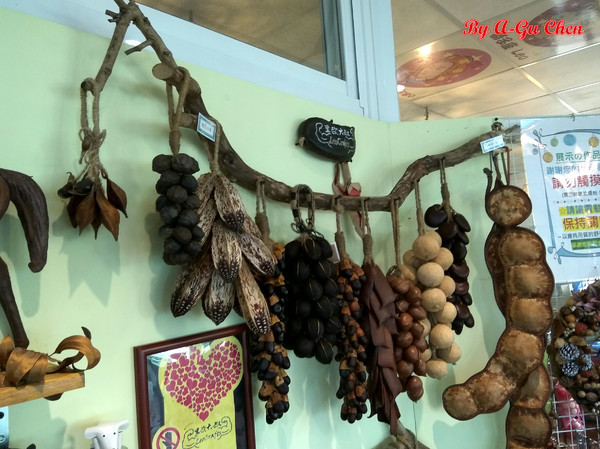 魔法森林：【臺南Ω安定區】魔法森林。彷彿置身在山林祕境中享用美食