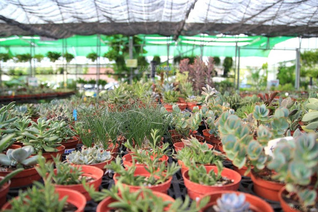 農友種苗總部及休閒農場-2