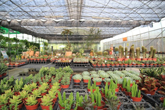 農友種苗總部及休閒農場-1