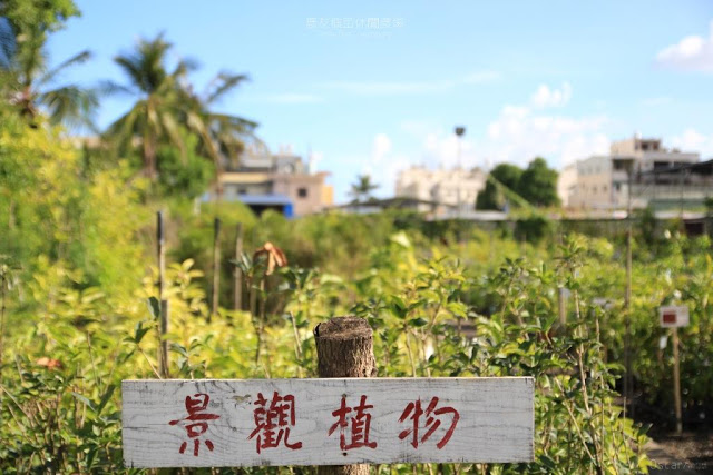 農友種苗總部及休閒農場-6