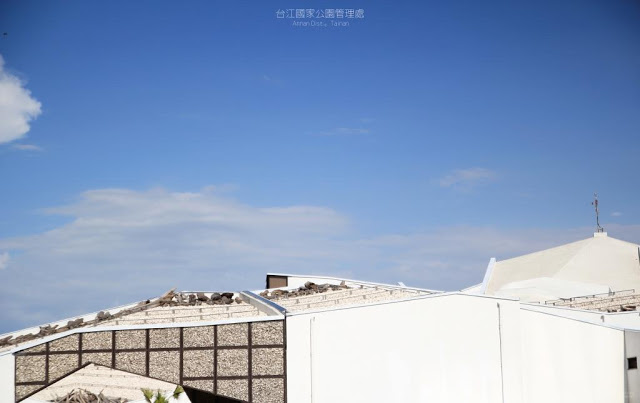 台江國家公園管理處-9