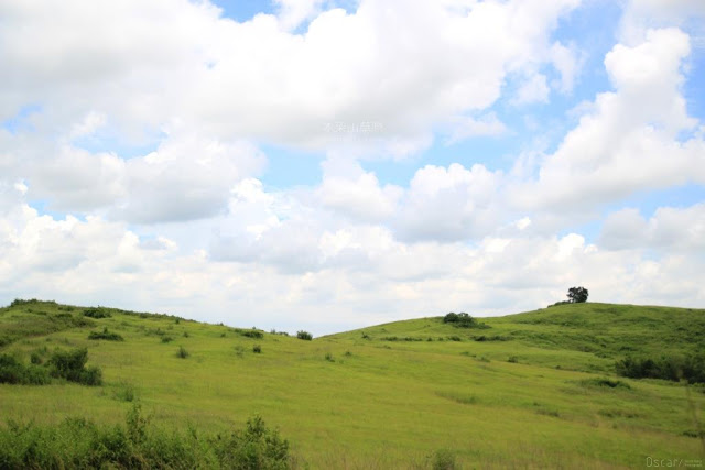 木架山草原-1