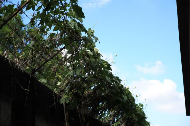 原日本海軍鳳山無線電信所-20