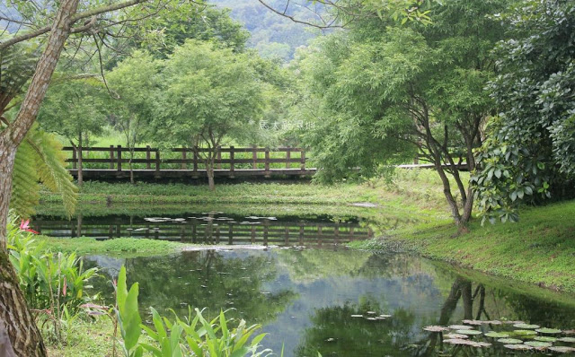 馬太鞍濕地生態園區-9