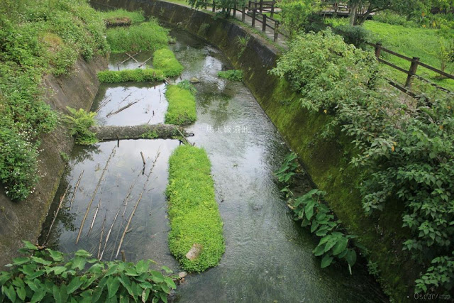 馬太鞍濕地生態園區-6