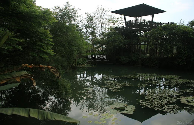 馬太鞍濕地生態園區-8