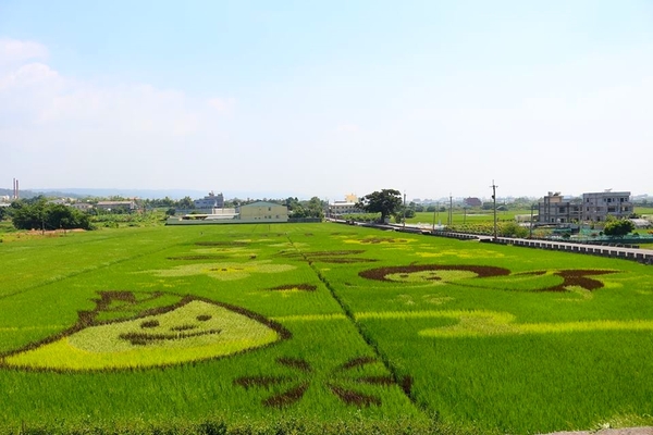 三春老樹稻田彩繪：【彰化景點】彰化花壇三春老樹稻田彩繪~2016跟著任意門來到三春老樹稻田彩繪的茉莉花、竹筍還有螢火蟲，一起點亮花壇
