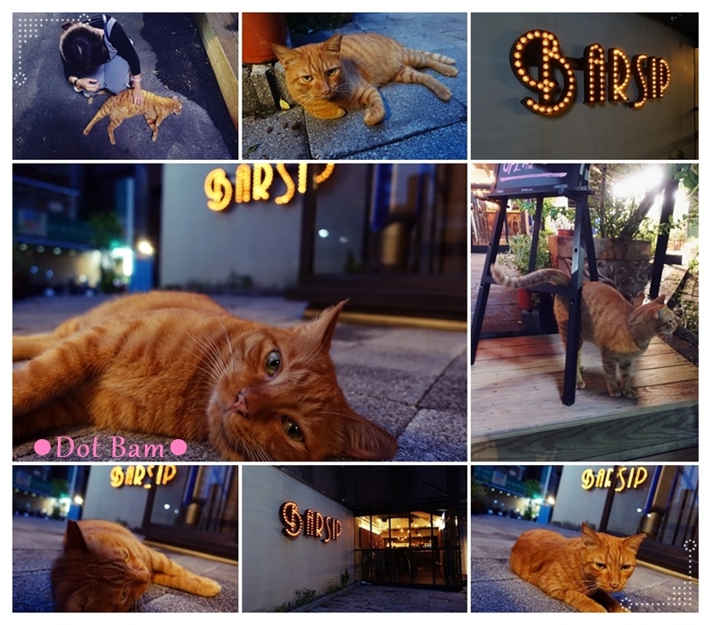 BarSip 橘老大.jpg