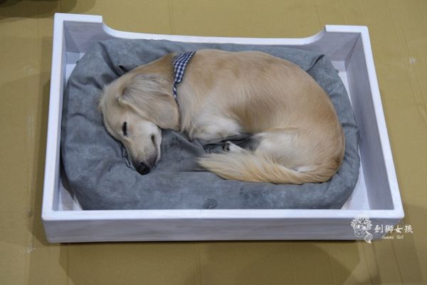 幸福優木寵物床 57.jpg