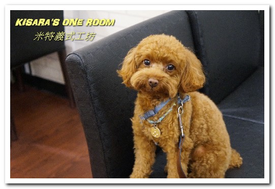 米特義式工坊:永和義大利麵/焗烤.分量十足的平價美味──米特義式工坊