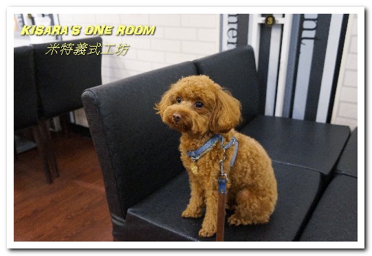 米特義式工坊:永和義大利麵/焗烤.分量十足的平價美味──米特義式工坊