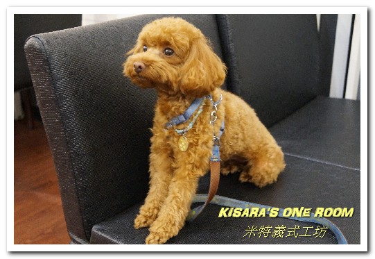 米特義式工坊:永和義大利麵/焗烤.分量十足的平價美味──米特義式工坊