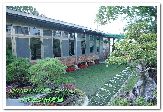 五葉松庭院餐廳：北大特區美食．下飯卻不死鹹，令人乖乖掃盤的美味中式合菜──五葉松庭園餐廳