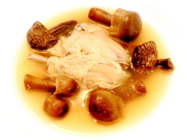 頂級香檳茸養生燉雞湯:頂級香檳茸養生燉雞湯