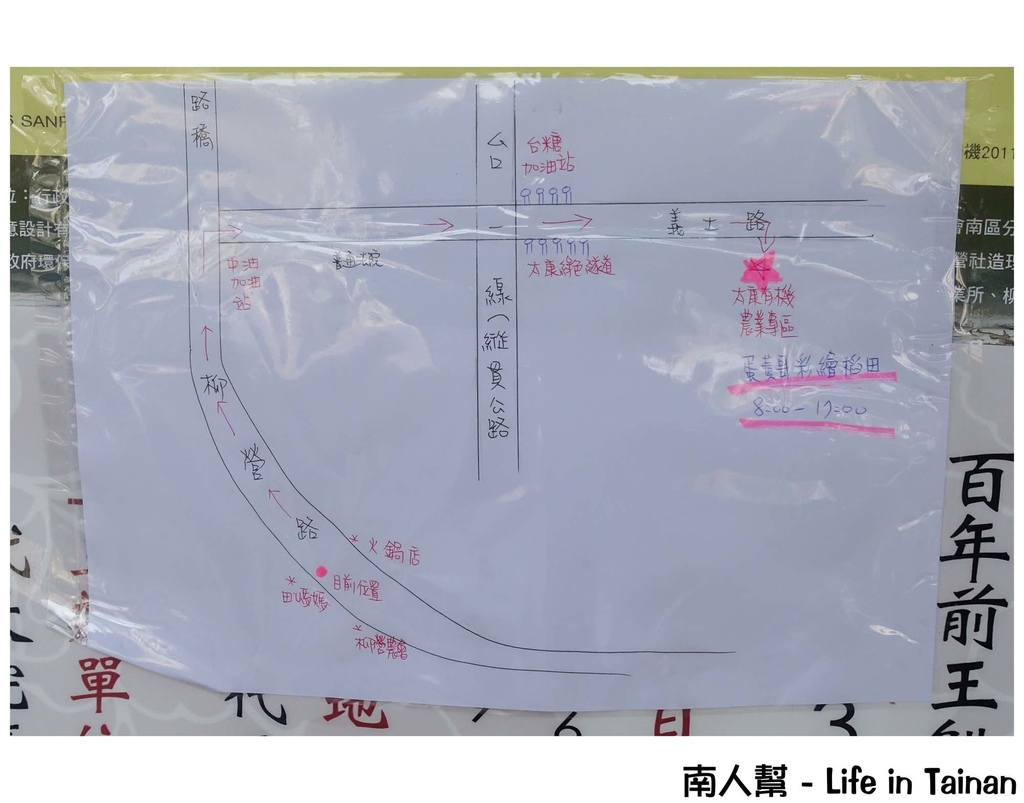 柳營田媽媽鮮奶饅頭