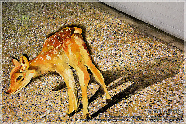 衛民街彩繪地下道:【臺南】東區。衛民街彩繪地下道