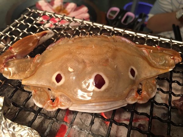 螃蟹 (6)