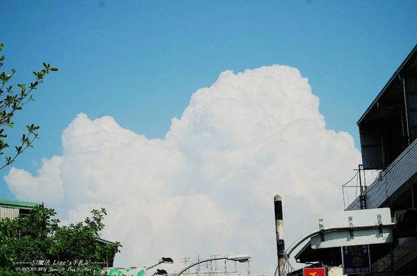 讚岐烏龍麵(大雅店):讚岐うどん烏龍麵
