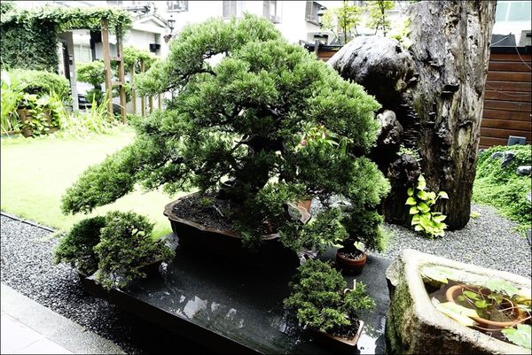 東方喜悅 (5).JPG