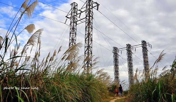 三角埔頂山-34.JPG - 2016秋之豔