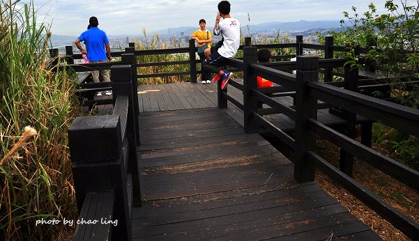 三角埔頂山-6.JPG - 2016秋之豔