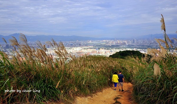 三角埔頂山-15.JPG - 2016秋之豔