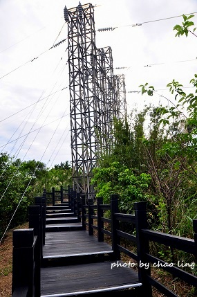 三角埔頂山-2.JPG - 2016秋之豔
