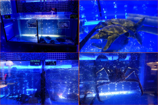 鱻饗宴台菜海鮮酒家菜 (15).jpg