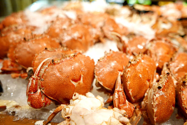 nEO_IMG_nEO_IMG_P1000249