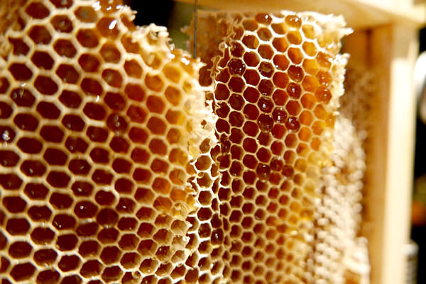 nEO_IMG_nEO_IMG_P1000315