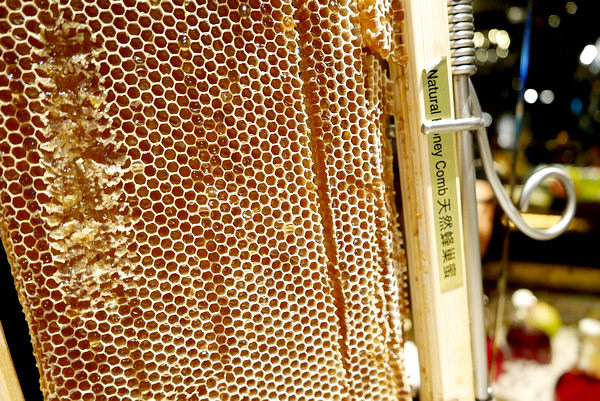 nEO_IMG_nEO_IMG_P1000212