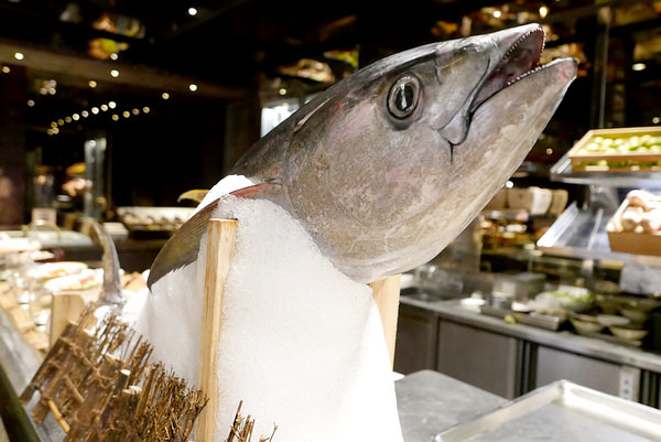 nEO_IMG_nEO_IMG_P1000269