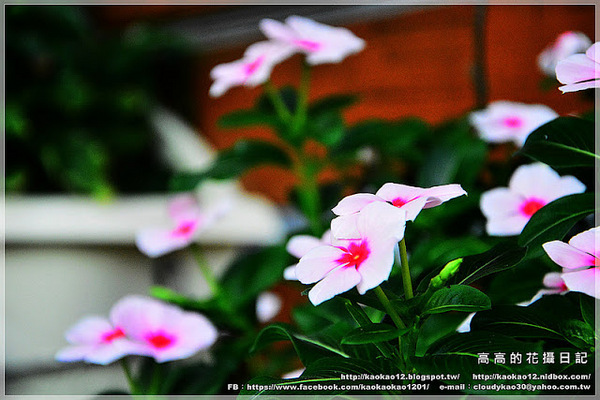 信宗大飯店：【高雄】三民區。臺灣精緻商旅(Ahotel.tw) 高雄信宗大飯店