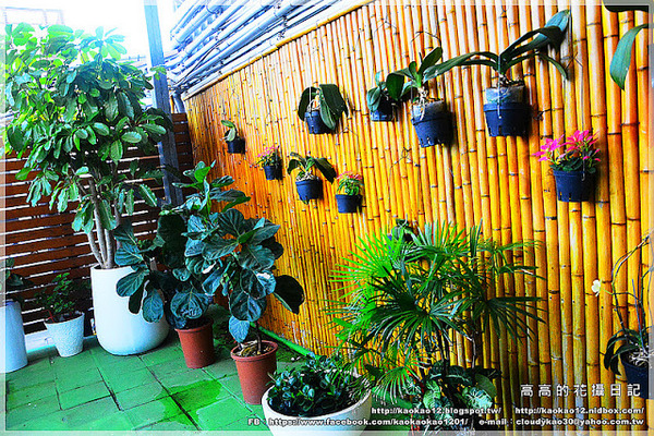 信宗大飯店：【高雄】三民區。臺灣精緻商旅(Ahotel.tw) 高雄信宗大飯店