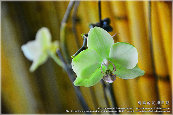 信宗大飯店：【高雄】三民區。臺灣精緻商旅(Ahotel.tw) 高雄信宗大飯店