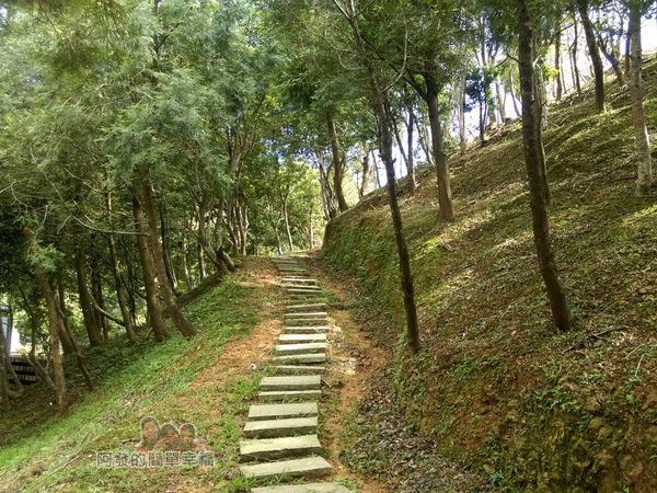 金車伯朗城堡咖啡館35-城堡2館一旁的山丘小徑