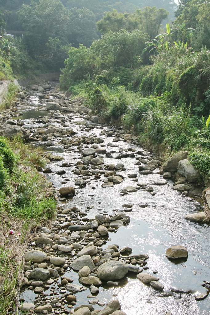 苗栗縣南庄鄉南江休閒農業區發展協會，南庄必玩，南庄必吃、