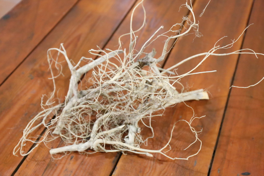 苗栗縣南庄鄉南江休閒農業區發展協會，南庄必玩，南庄必吃、