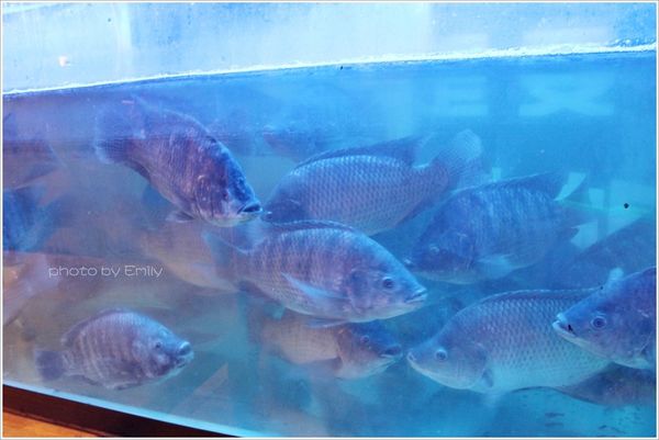 微醺啤酒屋_2798 (3)