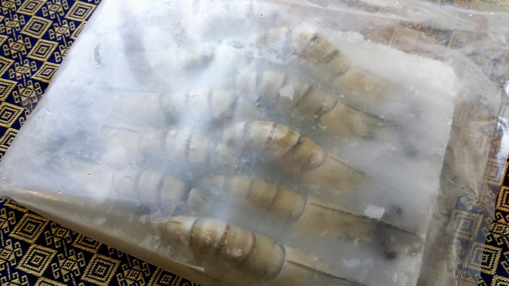 傑克船長 (7).jpg