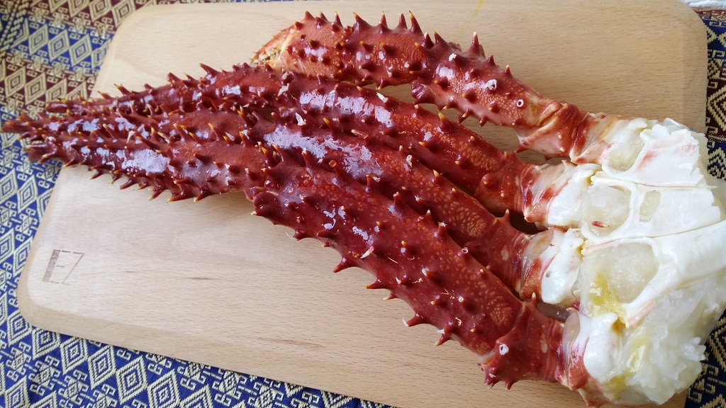 傑克船長 (11).jpg