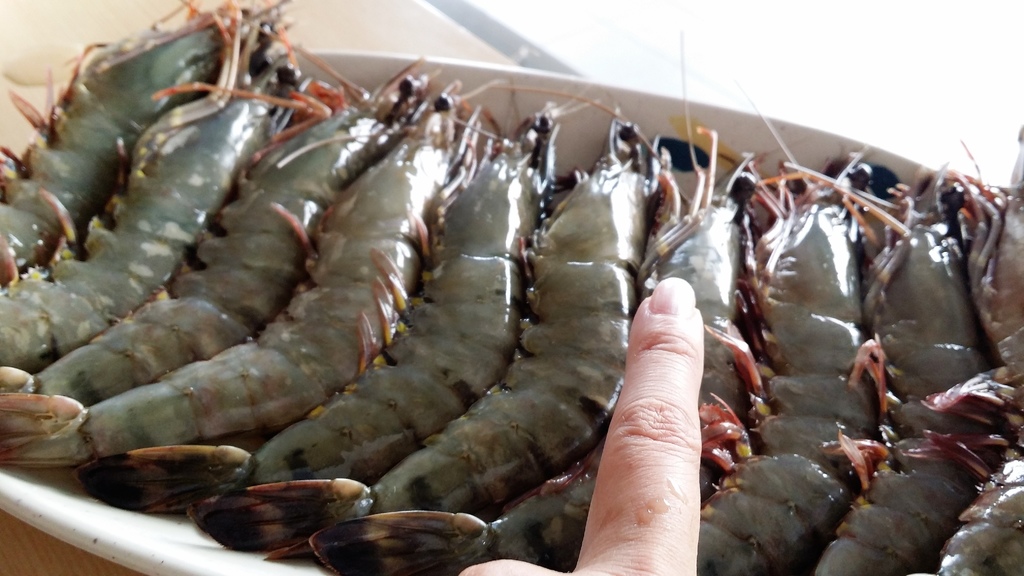 傑克船長 (9).jpg