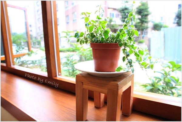 日福 OH HAPPY DAY (14)