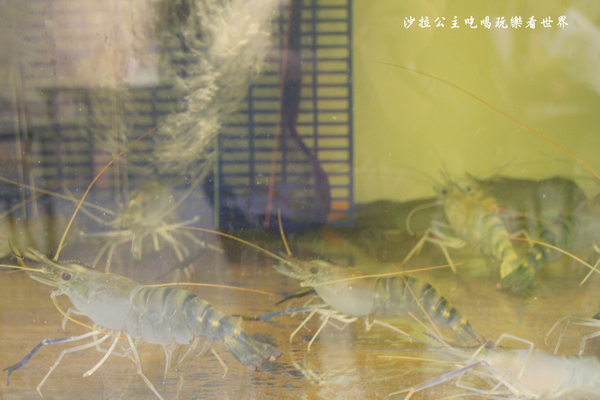 鴨味仔炭火薑母鴨-萬華店：萬華薑母鴨火鍋『鴨味仔炭火薑母鴨(萬華店)』冬令進補